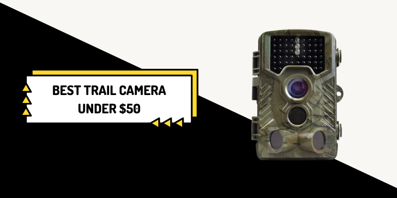 best trail camera under $50