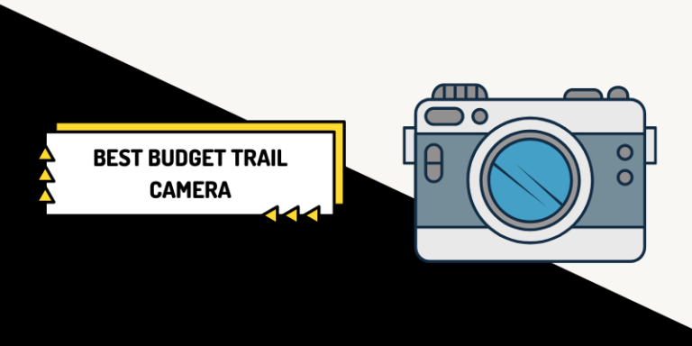 10 Best Budget Trail Camera