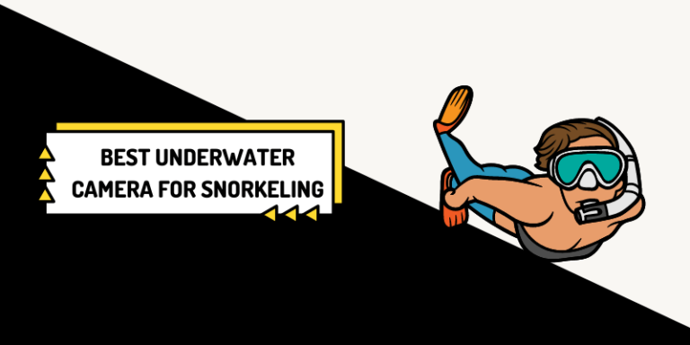 7 Best Underwater Camera for Snorkeling