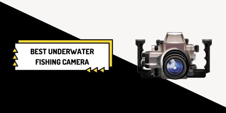 7 Best Underwater Fishing Camera