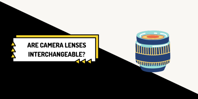 Are Camera Lenses Universal? Find Out