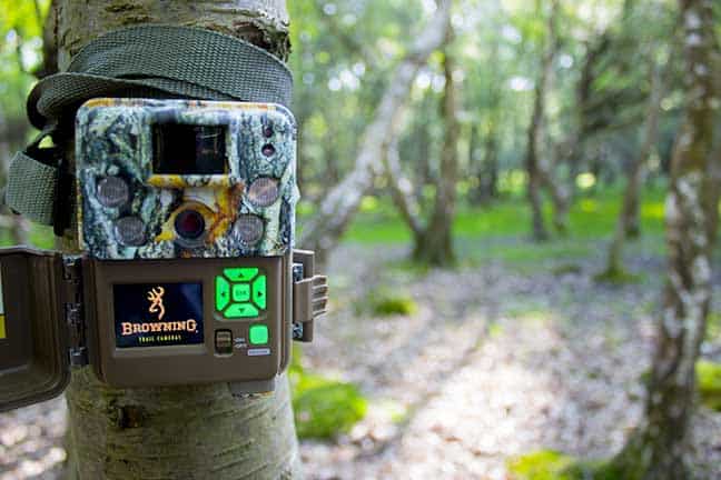 what are trail cameras